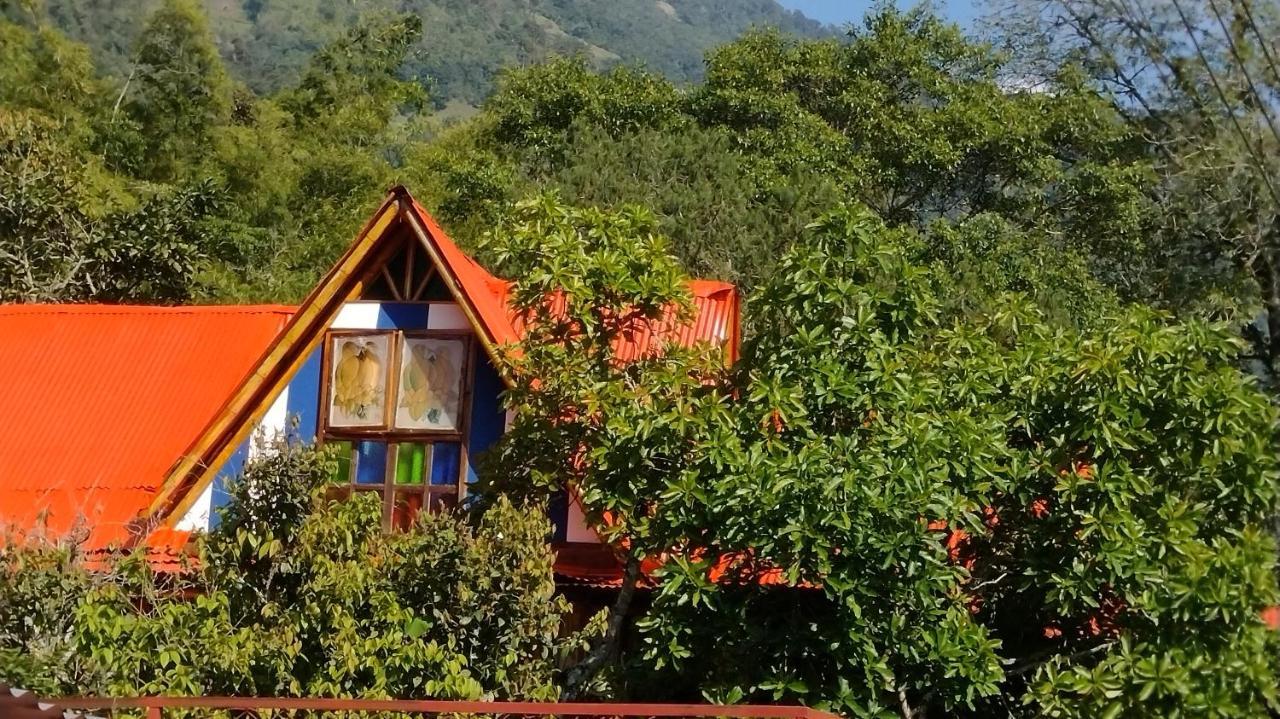 Hospedaje Rural Tupinamba Ibagué Екстериор снимка